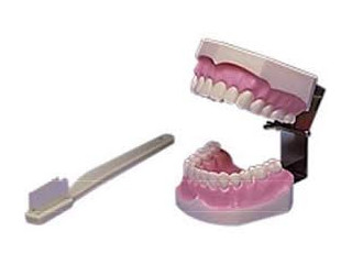 Logo Prestige Dental Products